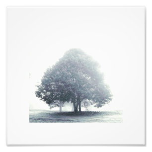 A Tree in Fog Poster