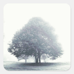 A Tree in Fog Square Sticker