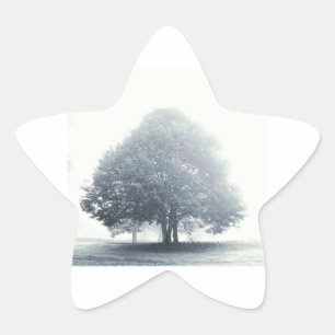 A Tree in Fog Star Sticker