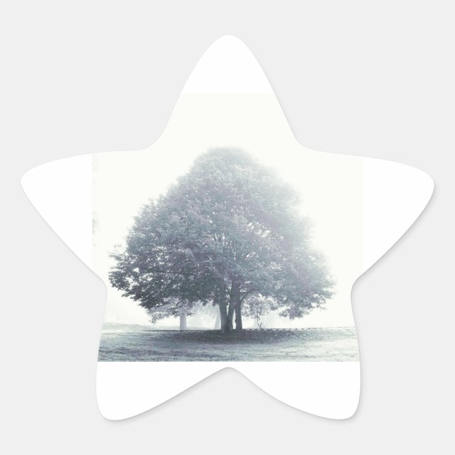 A Tree in Fog Star Sticker (Front)