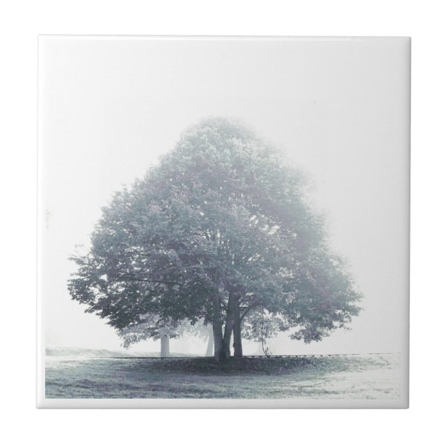 A Tree in Fog Tile (Front)