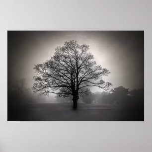 A Tree in the Fog Poster