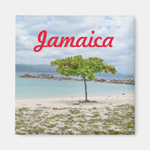 A TREE ON DEAD END BEACH FRIDGE MAGNET