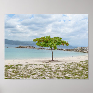 A TREE ON DEAD END BEACH POSTER