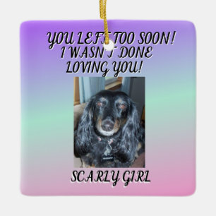 A Tribute To Pet's Unconditional Love 1 photo Ceramic Ornament