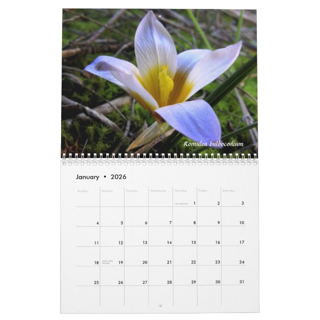 A tribute to the flora of Northern Greece Calendar (Jan 2026)