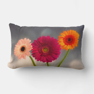 A Trio of Gerberas Lumbar Cushion