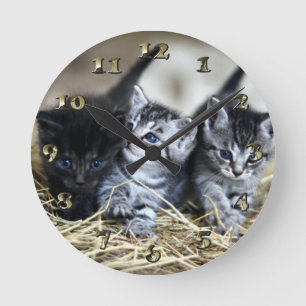 A Trio of Kittens Nesseled Together Round Clock