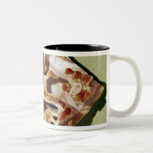 A triumphant emperor trampling barbarians Two-Tone coffee mug