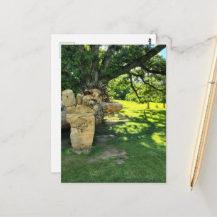 A Troll Sleeps Under a Beautiful Tree Postcard