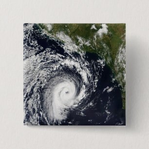 A tropical cyclone 15 cm square badge