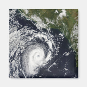 A tropical cyclone magnet