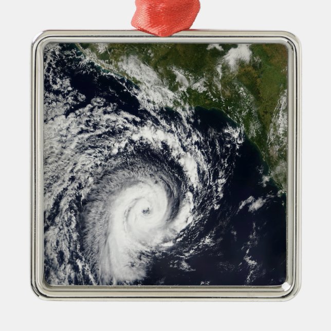 A tropical cyclone metal ornament (Front)