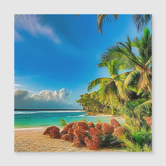 A tropical paradise.