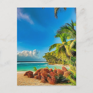 A tropical paradise. postcard