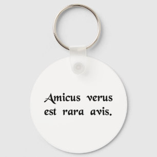 A true friend is a rare bird key ring