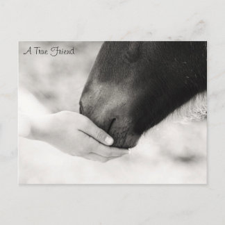 A True Friend Postcard