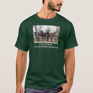 A True Six Pack T-Shirt