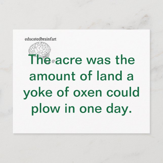 A Truth Postcard (Front)