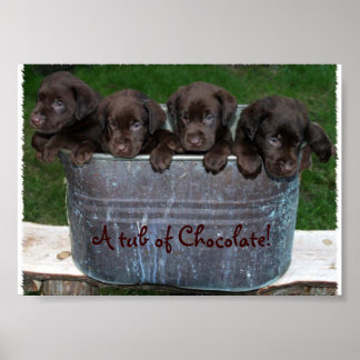 A tub of Chocolate picture Poster