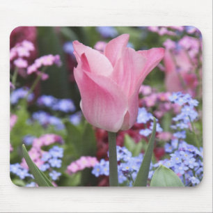 A tulip at Luxembourg Gardens, Paris, France Mouse Pad