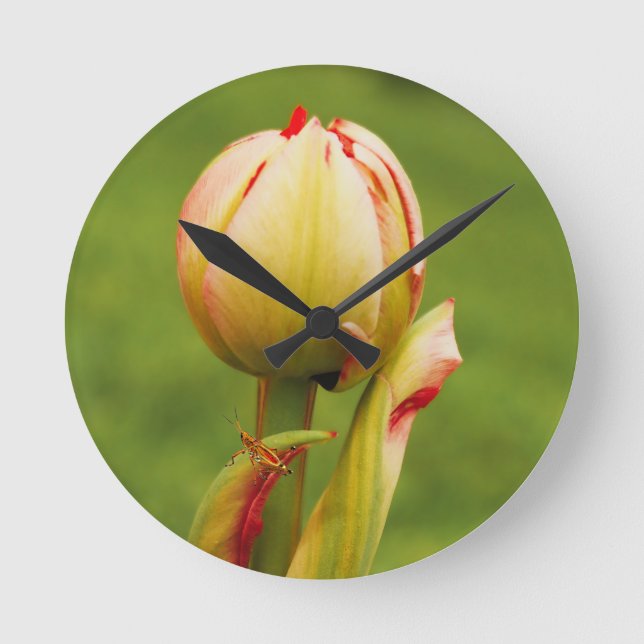 A tulip bud round clock (Front)