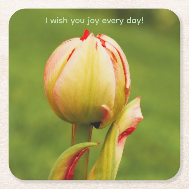 A tulip bud square paper coaster (Front)