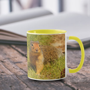 A Twitchy-Nosed Columbian Ground Squirrel Mug