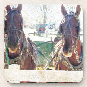 A Two Horse Team Coaster