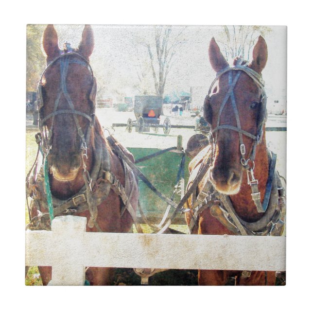 A Two Horse Team Tile (Front)