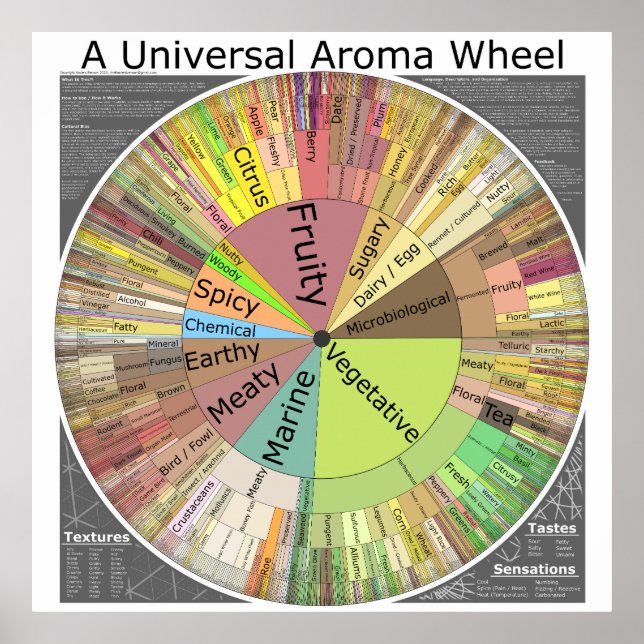 A Universal Aroma Wheel Poster (Front)