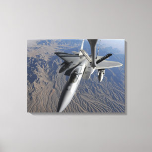 A US Air Force F-15 Eagle Canvas Print