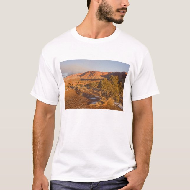 A Utah Juniper Juniperus osteosperma) tree in 2 T-Shirt (Front)