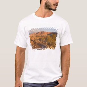 A Utah Juniper Juniperus osteosperma) tree in 2 T-Shirt