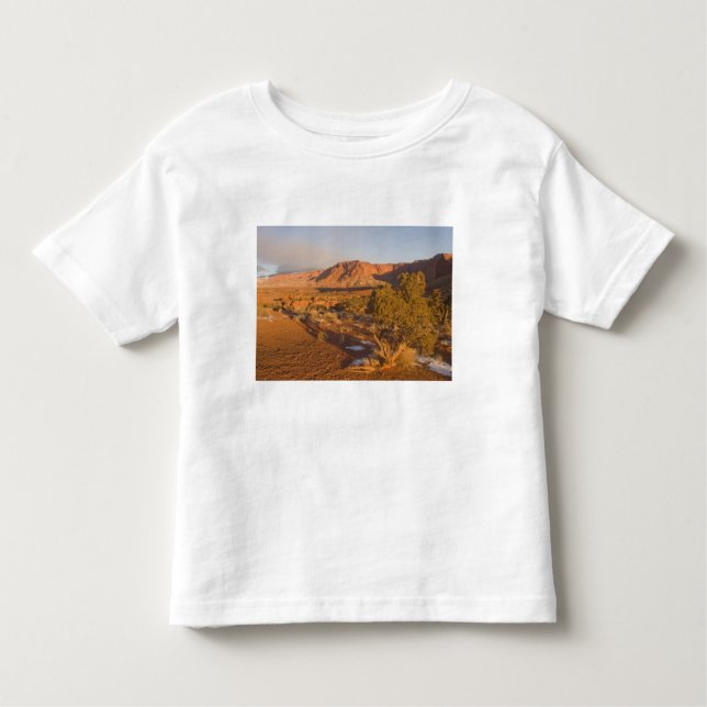 A Utah Juniper Juniperus osteosperma) tree in 2 Toddler T-Shirt (Front)
