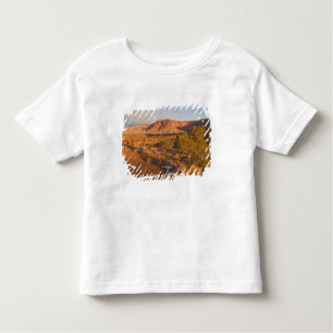 A Utah Juniper Juniperus osteosperma) tree in 2 Toddler T-Shirt