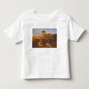 A Utah Juniper Juniperus osteosperma) tree in Toddler T-Shirt