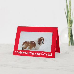A Valentine from the dog with a Basset Hound Holiday Card