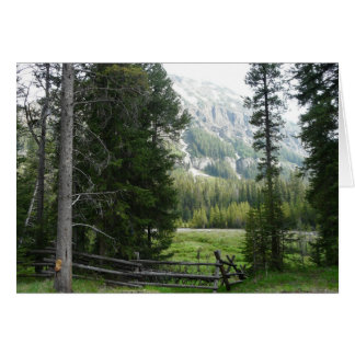 A Valley in Yellowstone National Park