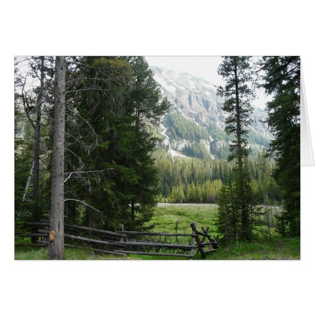 A Valley in Yellowstone National  Park (Front Horizontal)