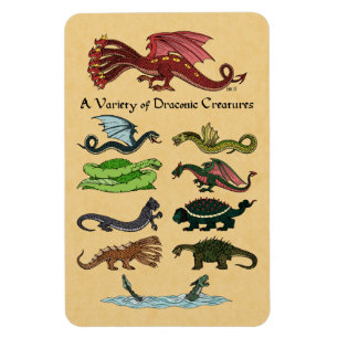 A Variety of Draconic Creatures Magnet