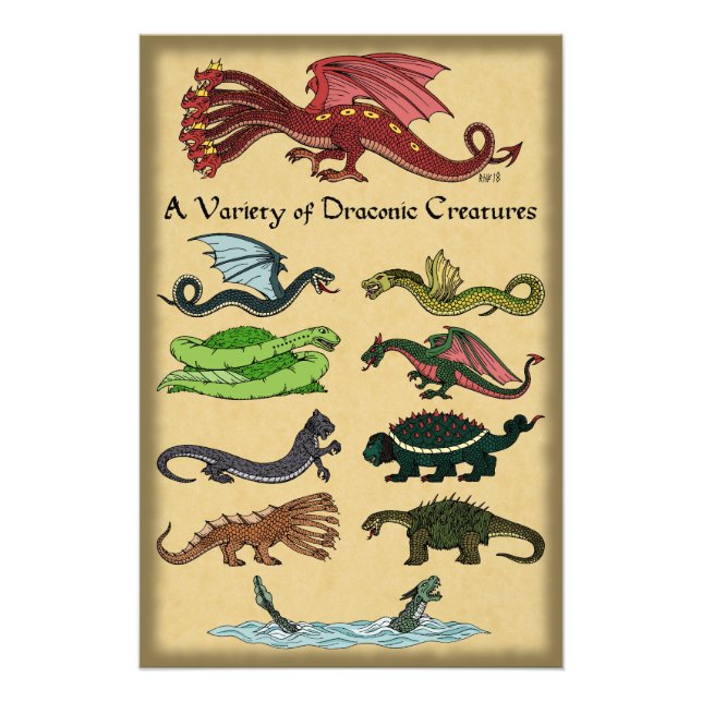 A Variety of Draconic Creatures Photo Print (Front)