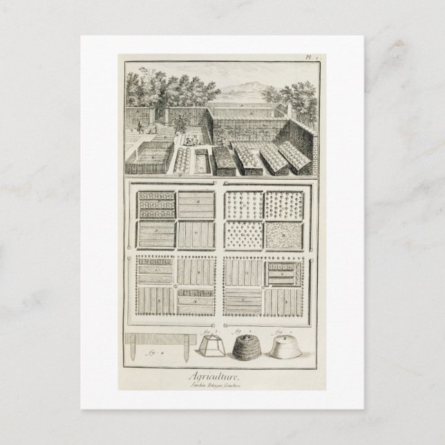 A vegetable garden, from 'The Encyclopaedia of Sci Postcard (Front)