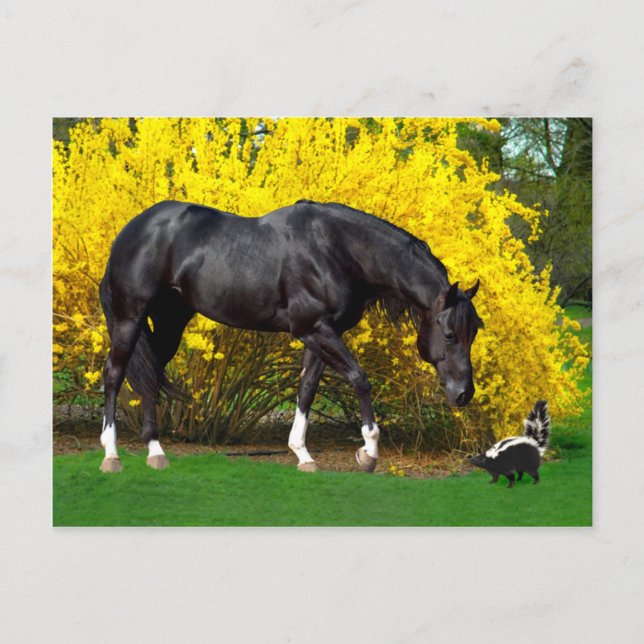 "A Very Bad Idea" Postcard (Front)