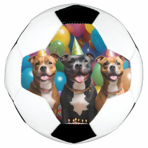 A Very Happy Staffy Birthday With Cake, Soccer Ball