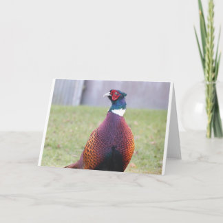 A Very Pleasant Pheasant Greetings Card
