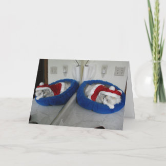 A Very Snuggler Christmas Holiday Card