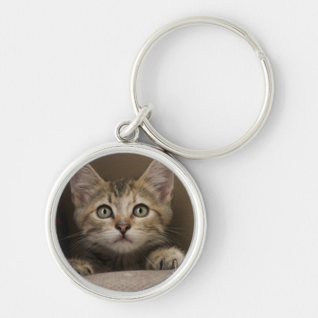 A Very Sweet Tabby Kitten Key Ring (Front)