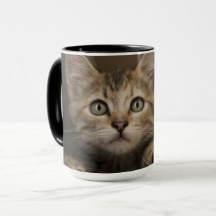 A Very Sweet Tabby Kitten Mug