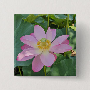 A vibrant lotus flower 15 cm square badge